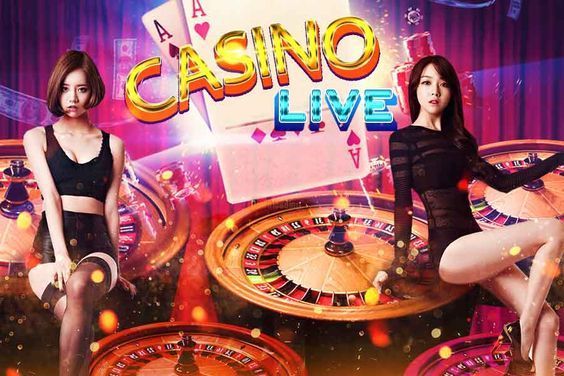 21 casino bingo پاکستان ریئل منی گیمز