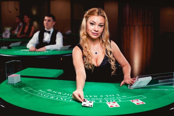 21 casino bingo Live Casino